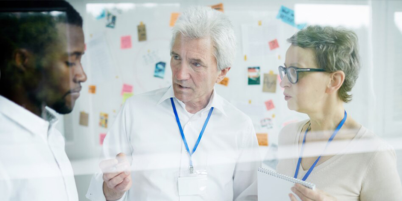 Tailored Solutions for Diverse Sectors 811 x 405